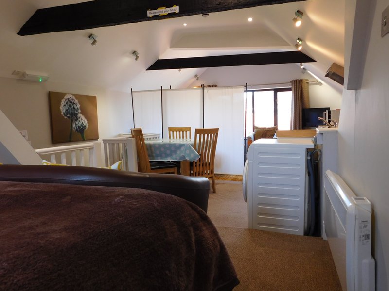 Spacious loft bedroom with sloped ceilings, bed, dining area, and kitchen space