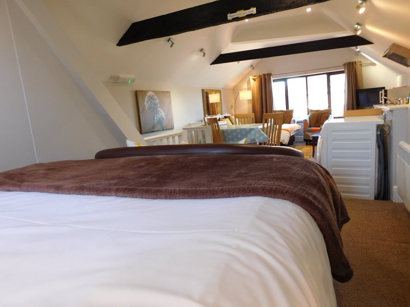 Spacious bedroom with double bed, brown throw, vaulted ceiling with skylights and open-plan living area beyond