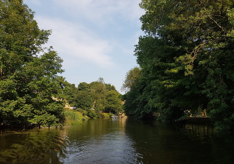 River view with mature trees lining both banks, calm water, and blue sky above