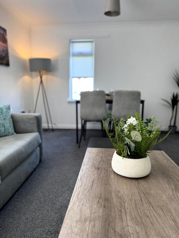 Bright living room with grey sofa, dining chairs, wooden table with potted plant, floor lamp and window.