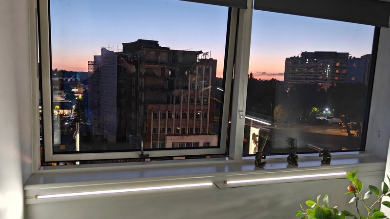 Window view of urban buildings at dusk with potted plant on sill