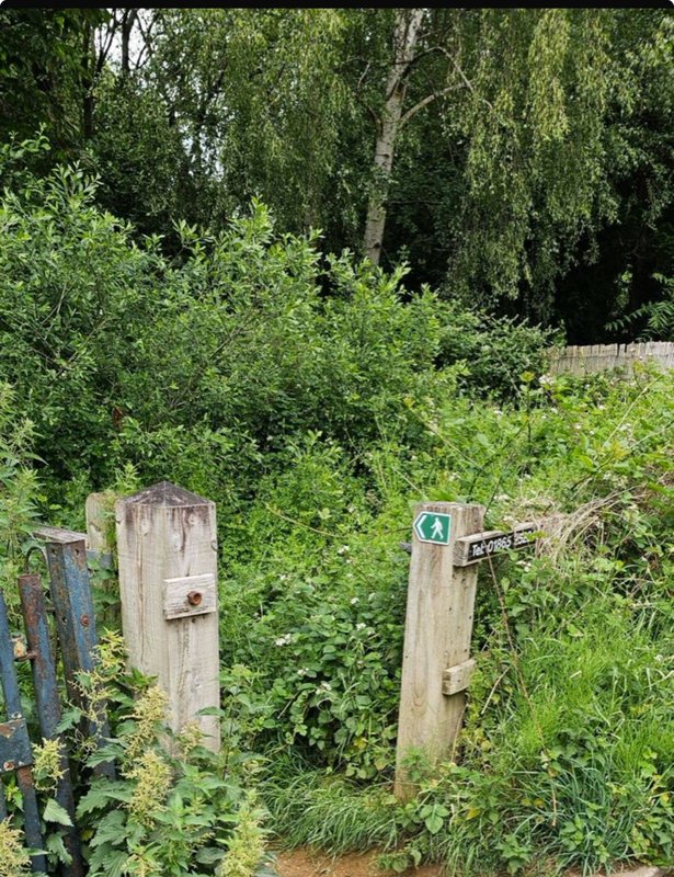 Overgrown garden area with wooden fence posts, metal gate, and dense green vegetation