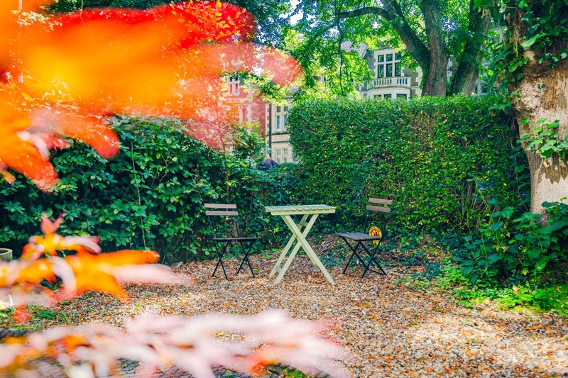 Garden seating area with table and chairs, ivy-covered walls and autumn foliage
