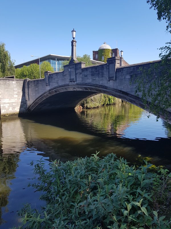 Stone bridge spanning river with ivy-covered walls and urban buildings in background