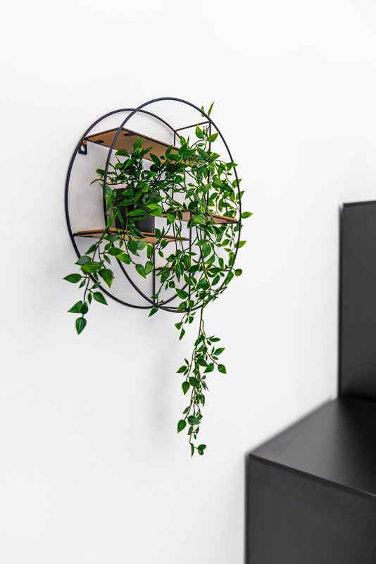 Wall-mounted round metal planter with trailing green plant and cascading foliage