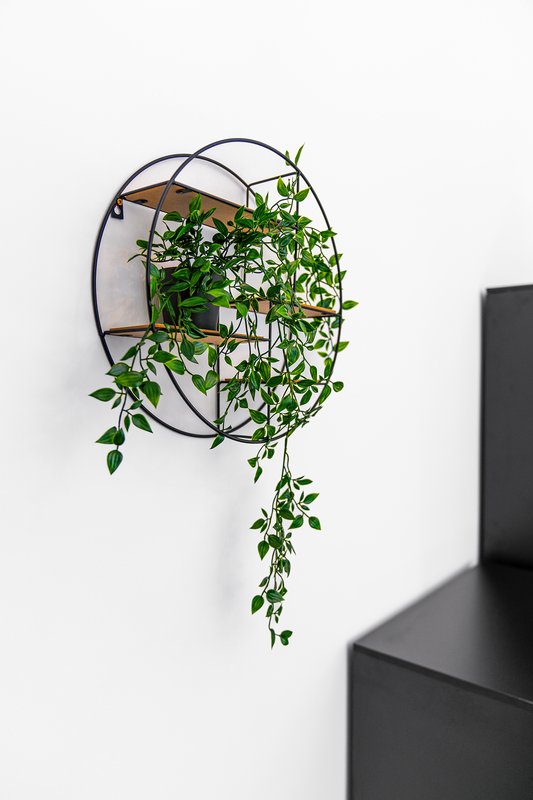 Wall-mounted circular metal shelf with trailing green plant and minimalist decor