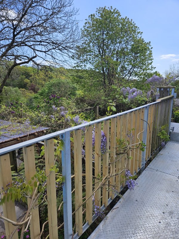 Wooden deck railing overlooking garden with trees and flowering plants