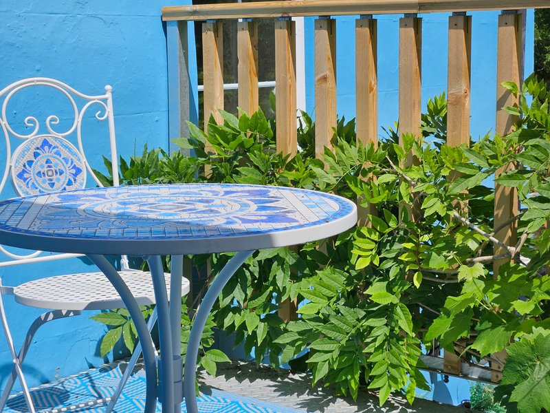Outdoor patio with blue decorative table, ornate chair, and wooden fence backdrop
