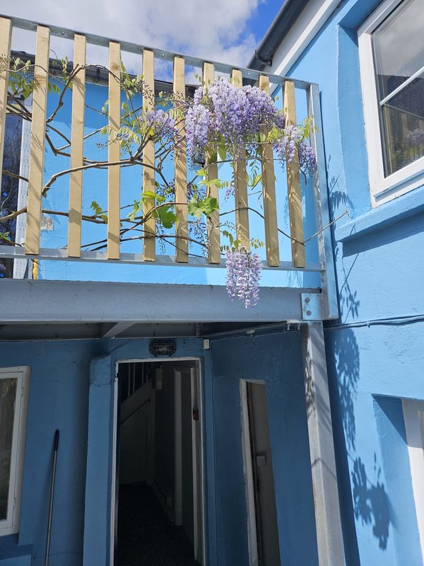 Blue exterior of modern accommodation with wooden railing balcony and purple flowering vine