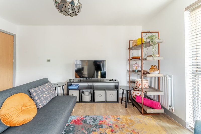 Bright living room with grey sofa, TV stand, shelving unit, and colourful area rug