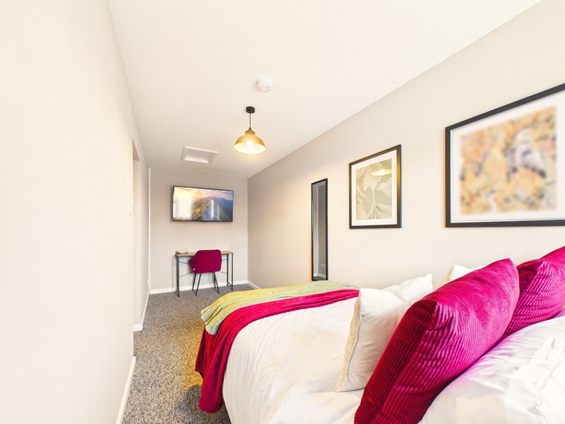 Bright modern bedroom with double bed, magenta cushions, framed artwork, and pendant light fixture