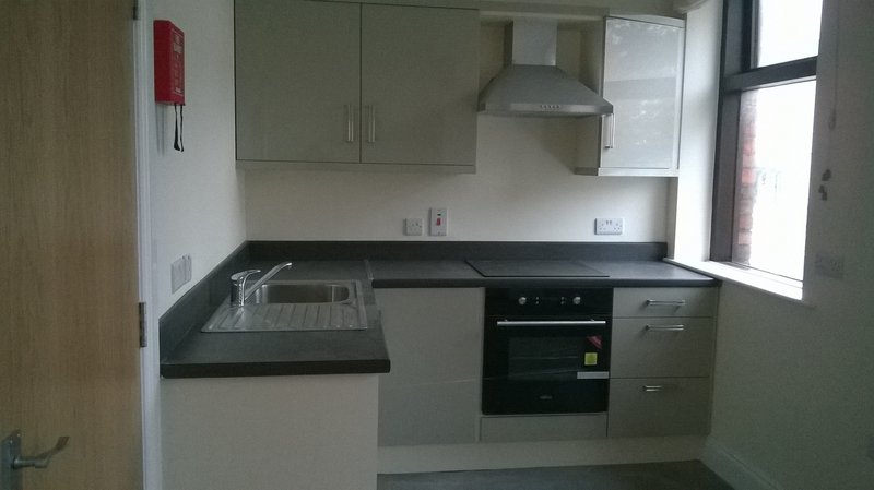 Modern kitchen with grey cabinetry, black countertop, built-in oven and window