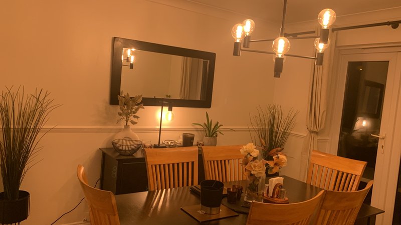 Dining room with wooden table, chairs, mirror, pendant lighting and potted plants