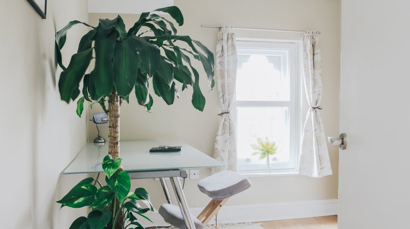 Bright home office nook with desk, exercise bike, potted plants and window