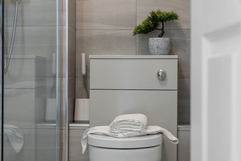 Bathroom corner with toilet, storage cabinet, potted plant and shower enclosure