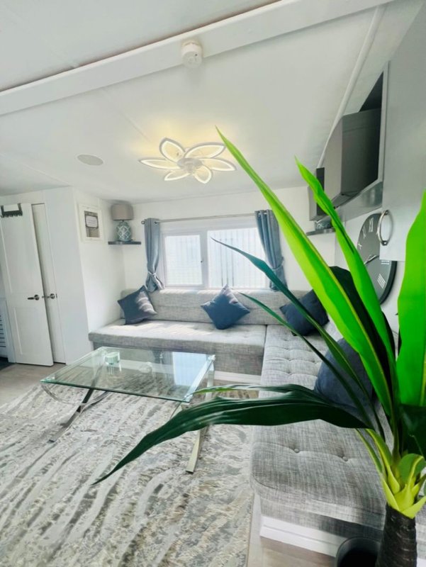 Modern living room with seating area, large potted plant, window with blue cushions and ceiling light fixture
