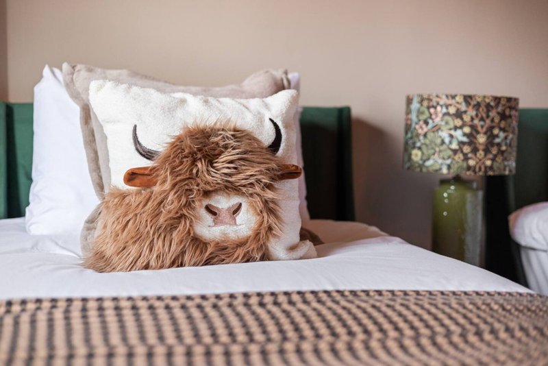 Bedroom with decorative Highland cattle cushion on bed, green headboard, and bedside lamp