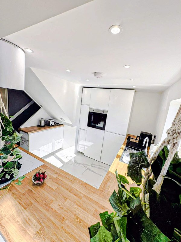 Modern kitchen with white cabinetry, wooden flooring, potted plants and integrated appliances