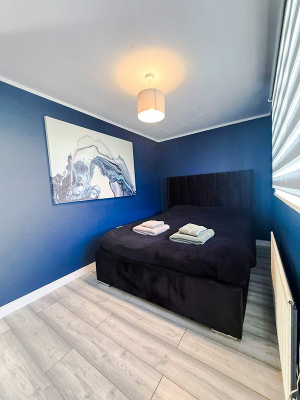 Compact bedroom with blue walls, black bed, ceiling light, and framed artwork