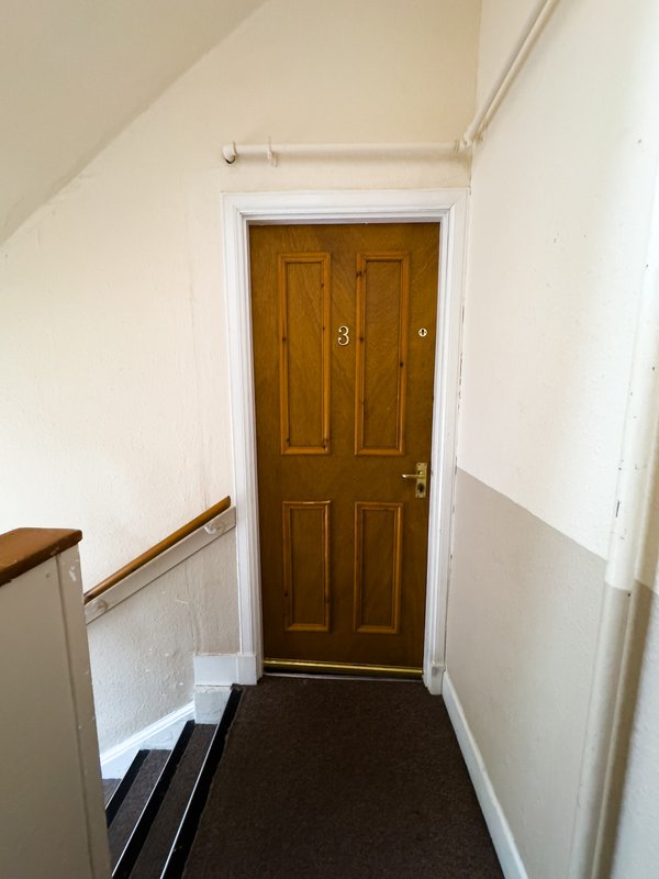 Narrow hallway with wooden brown door, white walls, wooden handrail and dark floor