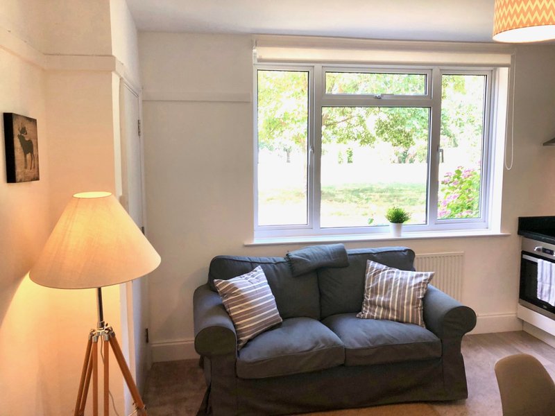 Living room with dark sofa, floor lamp, window with garden view and radiator