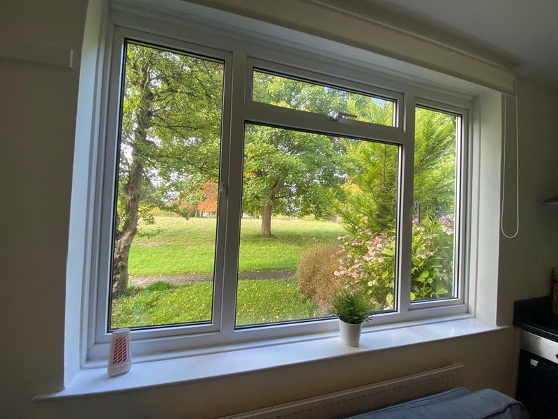 Kitchen window with white frame overlooking green garden and trees