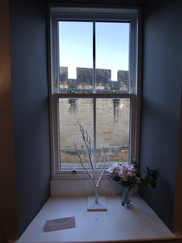 Window sill with branch in vase, flowers, and city view through large pane window