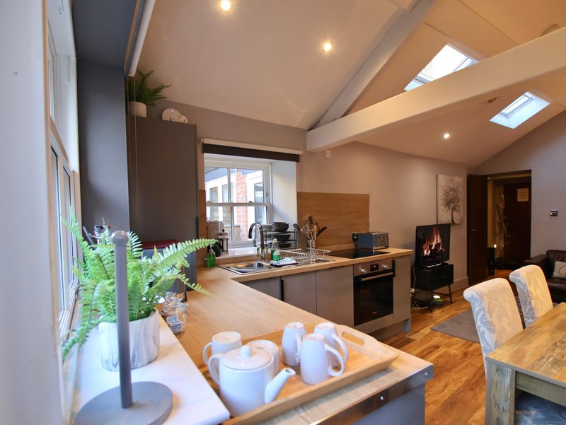 Modern open-plan kitchen and dining area with wooden flooring, black cabinetry, skylight windows, and plant decor