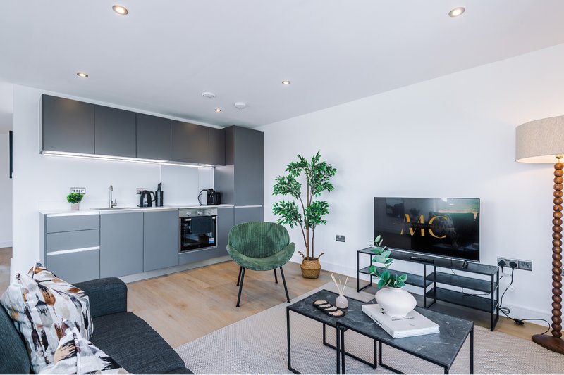 Open-plan kitchen and living area with grey cabinetry, wooden flooring, modern furniture and television