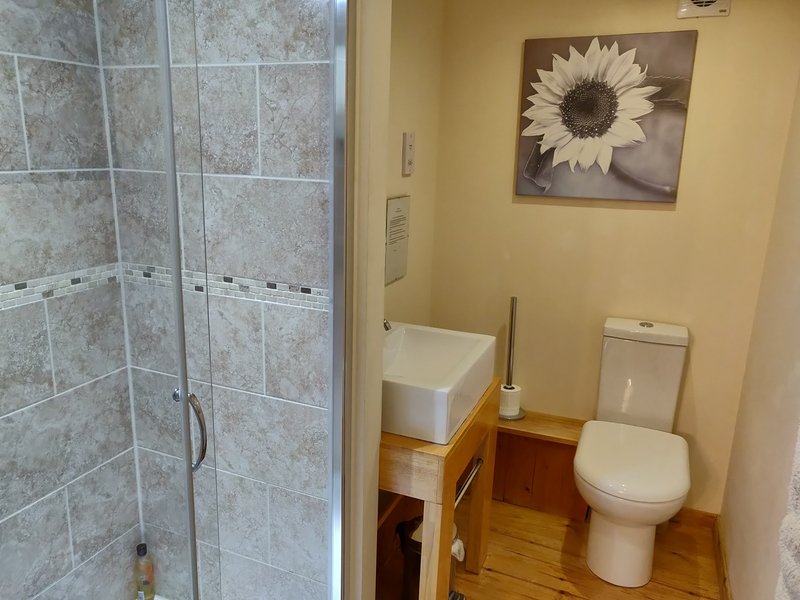 Bathroom with shower enclosure, toilet, vanity sink and sunflower wall art