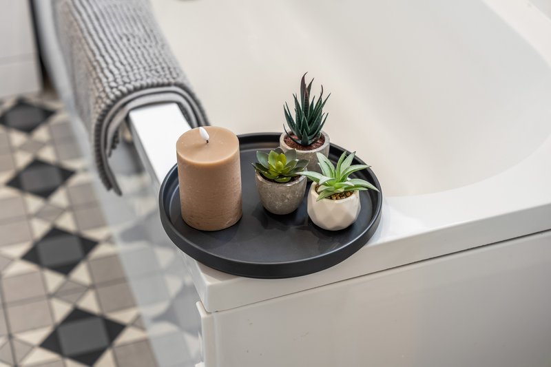 Bathroom counter with decorative tray holding candle and potted succulents