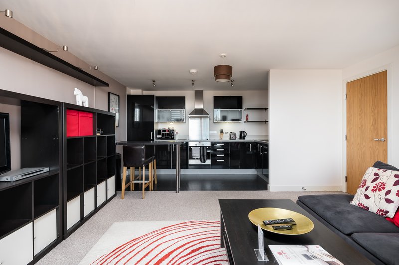 Open-plan living space with black kitchen, sofa, striped rug and storage units