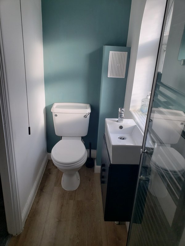Compact bathroom with toilet, small sink, teal feature wall and wooden floor