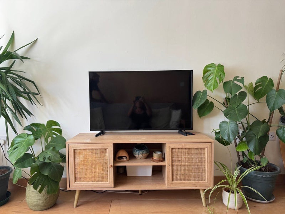 Living room with wooden media console, flat-screen TV, and potted plants on either side