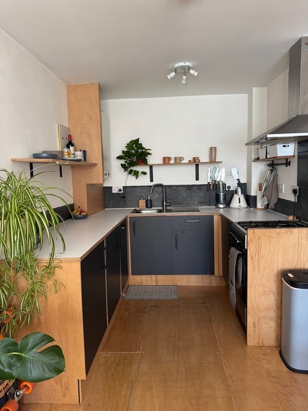 Modern kitchen with wooden cabinetry, black countertops, stainless steel appliances and potted plants