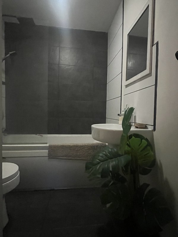 Modern bathroom with black tile shower, white sink, mirror and potted plant