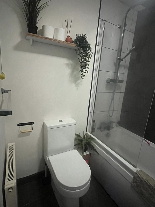 Modern bathroom with white toilet, walk-in shower, shelf with plants and décor