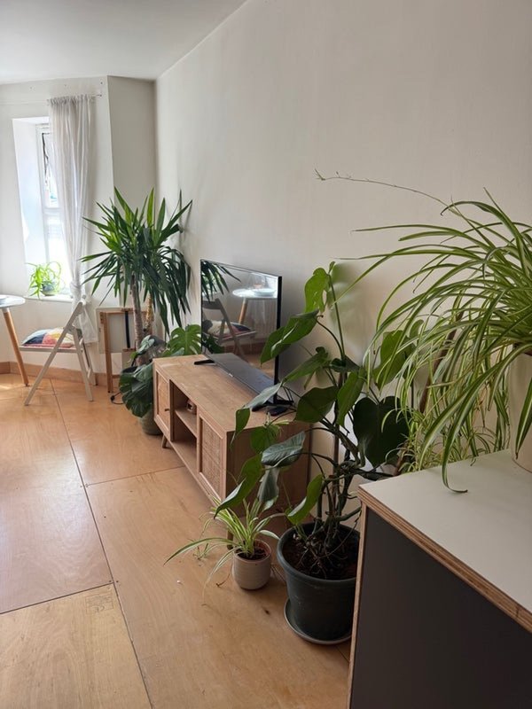 Bright living room with wooden floor, potted plants, wooden furniture and window with natural light