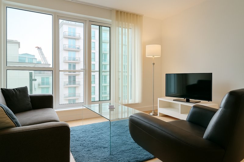 Modern living room with two dark sofas, TV on stand, blue rug, floor lamp, and large windows overlooking city buildings