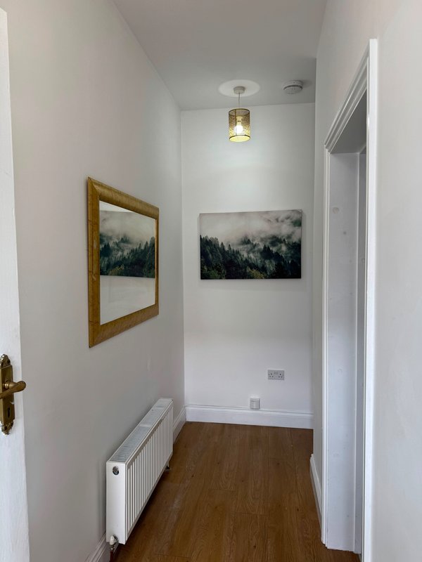 Narrow hallway with white walls, wooden floor, framed landscape artwork and pendant light