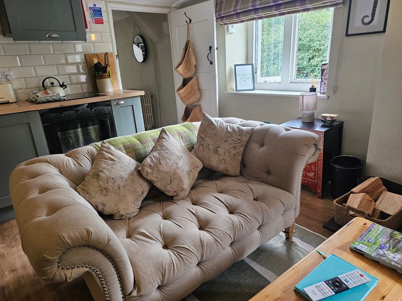 Open-plan living space with beige sofa, kitchen area, window with garden view
