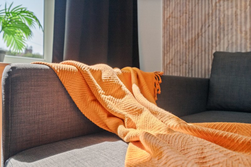 Modern living room with gray sofa, orange throw blanket, and potted plant