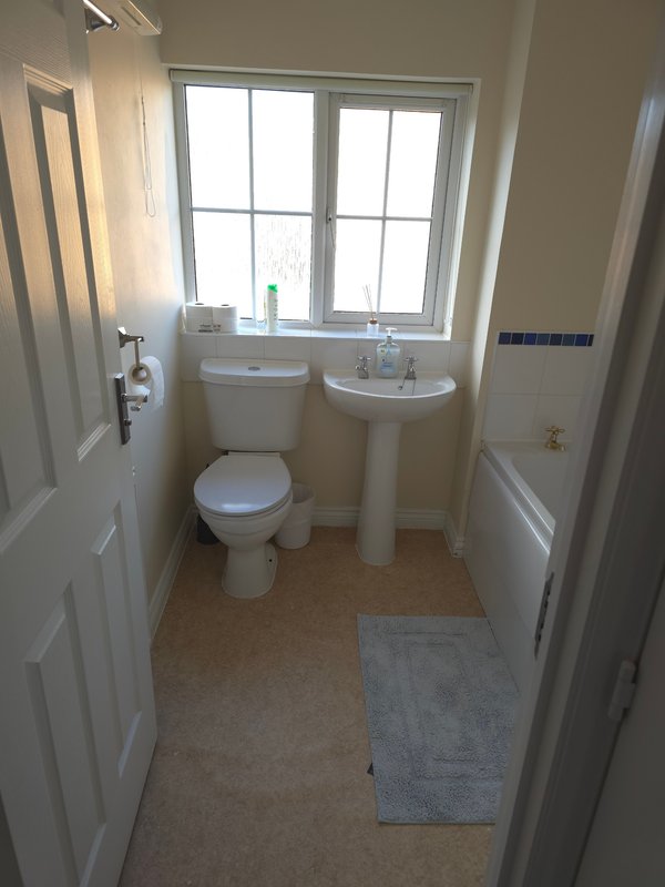 Small bathroom with toilet, pedestal sink, window and cork flooring