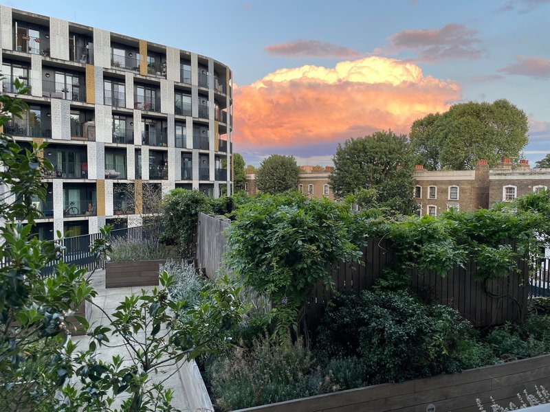 Modern apartment building exterior with landscaped gardens, adjacent period properties, sunset sky