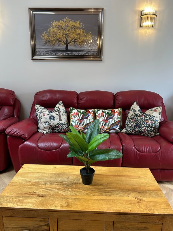 Living room with burgundy leather sofa, decorative cushions, wooden table, potted plant, and framed artwork on wall
