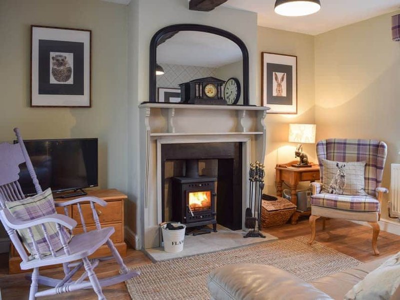 Cozy living room with fireplace, wood-burning stove, armchair, TV, and framed wall art