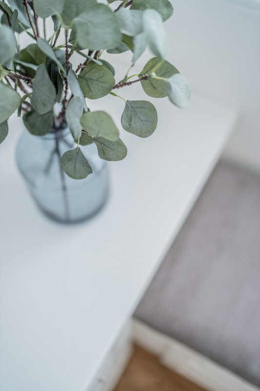 Close-up of eucalyptus branch in glass vase on white shelf with blurred sofa in background