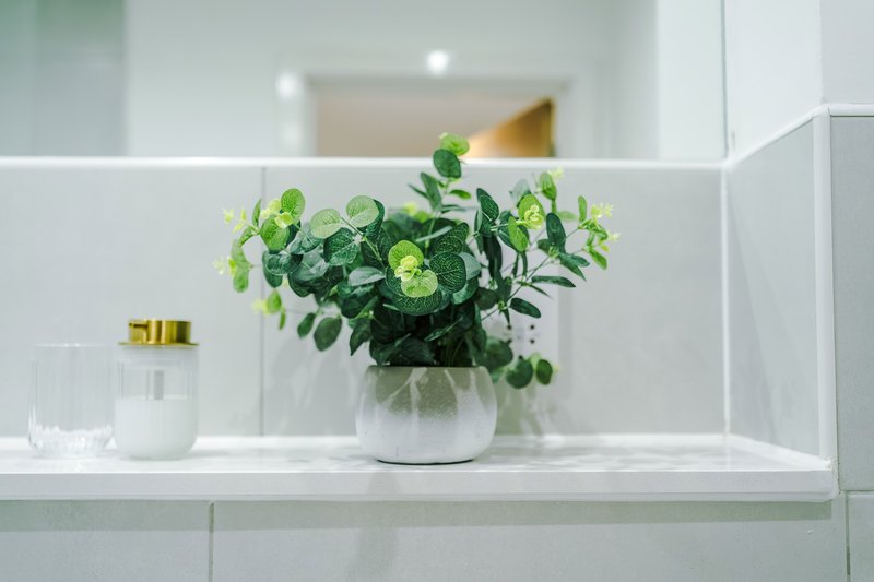 Modern bathroom shelf with potted green plant, glass containers, and toiletries