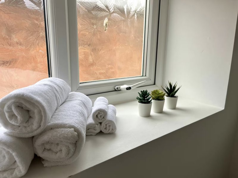 Windowsill with rolled white towels, small potted succulents, and desert view through window