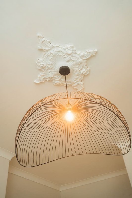 Ceiling detail with decorative plasterwork and modern wire pendant lamp